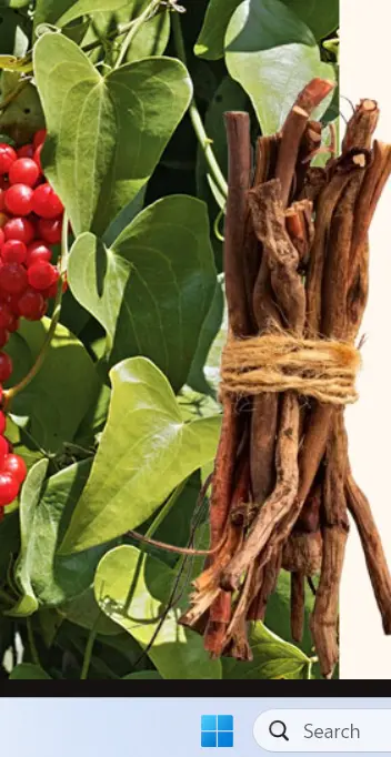Sarsaparilla Root
